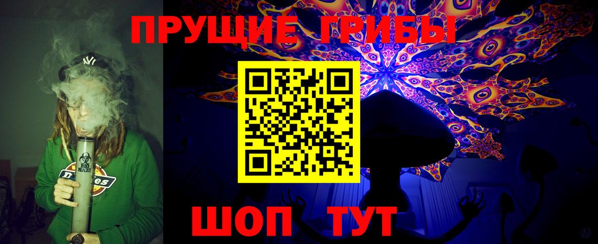 Галлюциногенные грибы Psilocybine cubensis Луховицы
